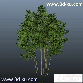 写实树木模型max11（免费的哦）的图片