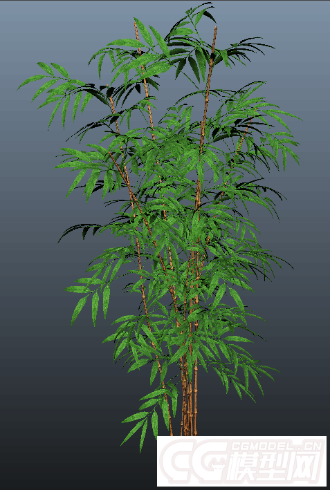写实树木模型max11（免费的哦）的图片3