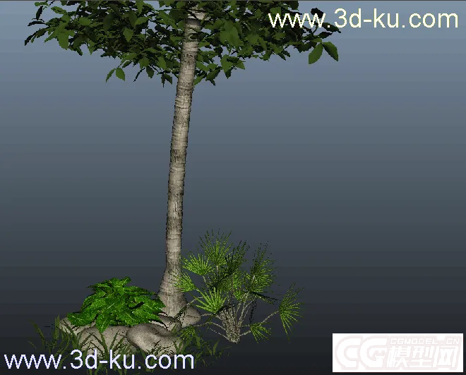 写实树木模型max11（免费的哦）的图片1