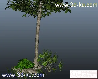 写实树木模型max11（免费的哦）的图片