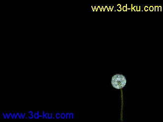 3D打印模型风吹蒲公英-2的图片