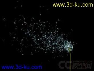3D打印模型风吹蒲公英-2的图片