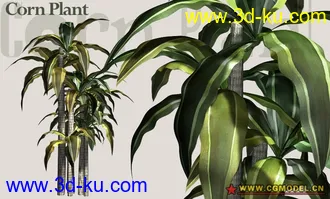 Utopia 高精度植栽模型的图片