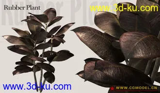 Utopia 高精度植栽模型的图片