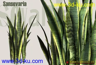 Utopia 高精度植栽模型的图片