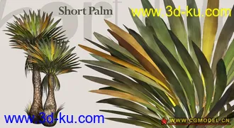 Utopia 高精度植栽模型的图片