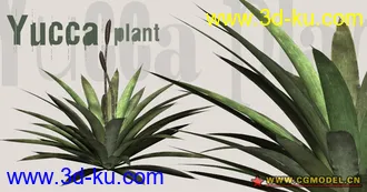 Utopia 高精度植栽模型的图片