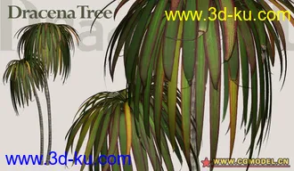 Utopia 高精度植栽模型的图片