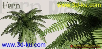 Utopia 高精度植栽模型的图片