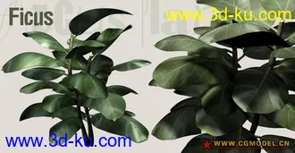 Utopia 高精度植栽模型的图片