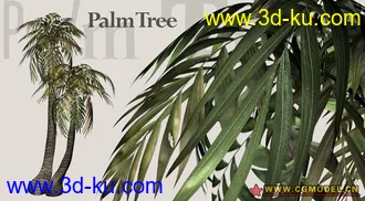 Utopia 高精度植栽模型的图片