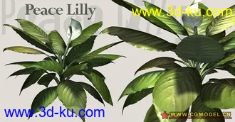 Utopia 高精度植栽模型的图片