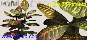 Utopia 高精度植栽模型的图片