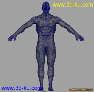 3D打印模型肌肉练习男模的图片
