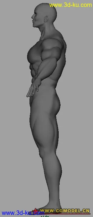 3D打印模型肌肉练习男模的图片