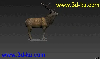 下载的模型自己做的绑定和动画的图片