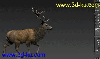 下载的模型自己做的绑定和动画的图片