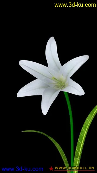 3D打印模型白色百合的图片