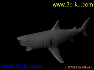 3D打印模型鲨鱼的图片