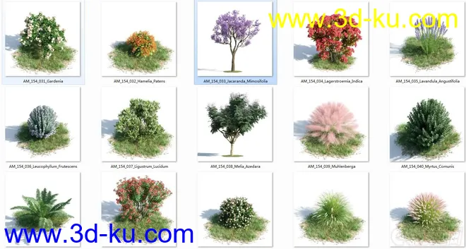 Archmodels.Vol.154 植物灌木花草模型的图片3