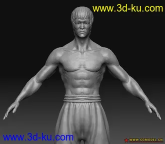 3D打印模型李小龙的图片