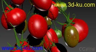 3D打印模型西红柿的图片