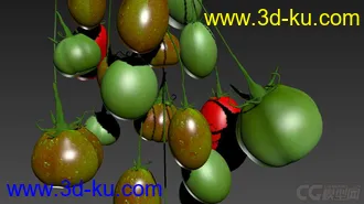 3D打印模型西红柿的图片