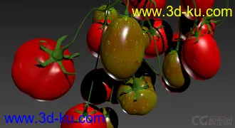 3D打印模型西红柿的图片