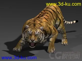 霸气的老虎模型一个的图片