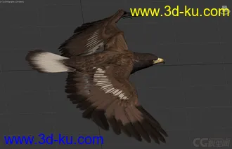 3D打印模型写实风格老鹰的图片