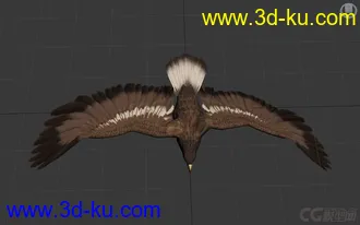 3D打印模型写实风格老鹰的图片