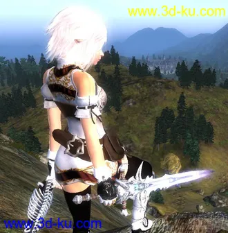 3D打印模型上古卷轴4 Tona制作的一套衣服的图片