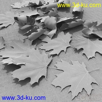 高精度叶子模型(3ds,Fbx,Max,Obj格式）的图片