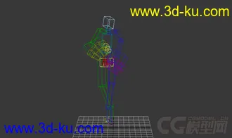 3D打印模型超完美骨骼的图片