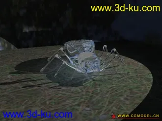 3D打印模型蜘蛛和蚊虫的图片