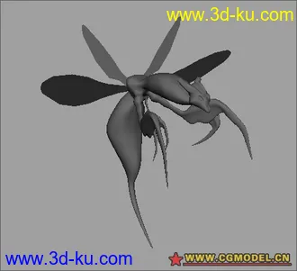 3D打印模型蜘蛛和蚊虫的图片
