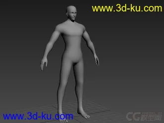 男体模型的图片