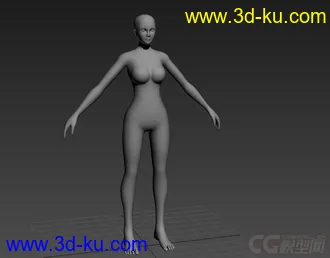 女人体模型的图片