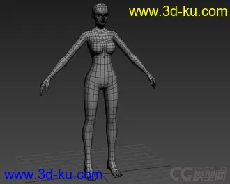 女人体模型的图片