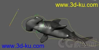3D打印模型锤头鲨的图片