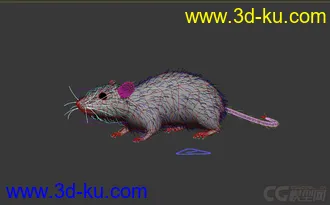 3D打印模型老鼠 rat 带绑定 有毛发的图片