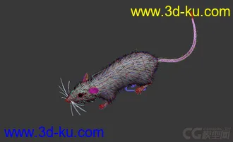 3D打印模型老鼠 rat 带绑定 有毛发的图片