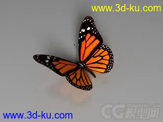 3D打印模型精美的蝴蝶的图片