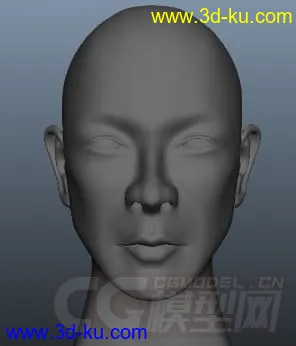 人物头模型的图片