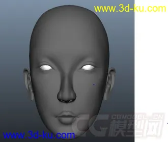 人物头部模型的图片