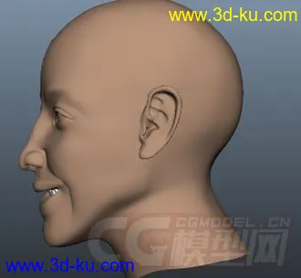 人物头部模型的图片