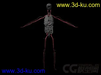 李小龙不错的模型加贴图外加2个玛雅的模型.3个模型一共的图片