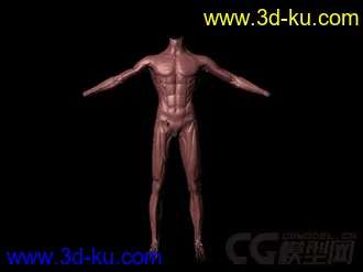 李小龙不错的模型加贴图外加2个玛雅的模型.3个模型一共的图片