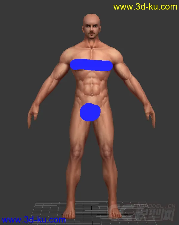男人人体模型的图片1