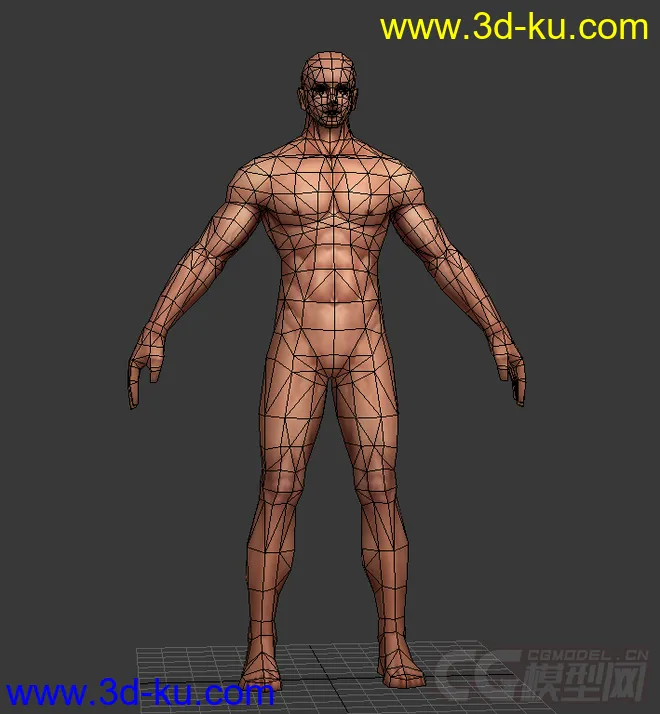 男人人体模型的图片2